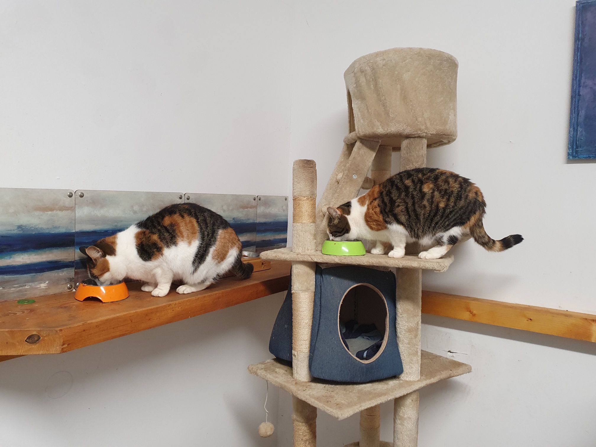 2023 12 Dezember 633